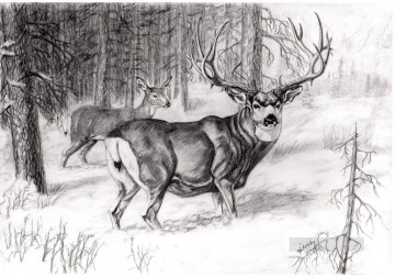 deer pencil drawing Oil Paintings